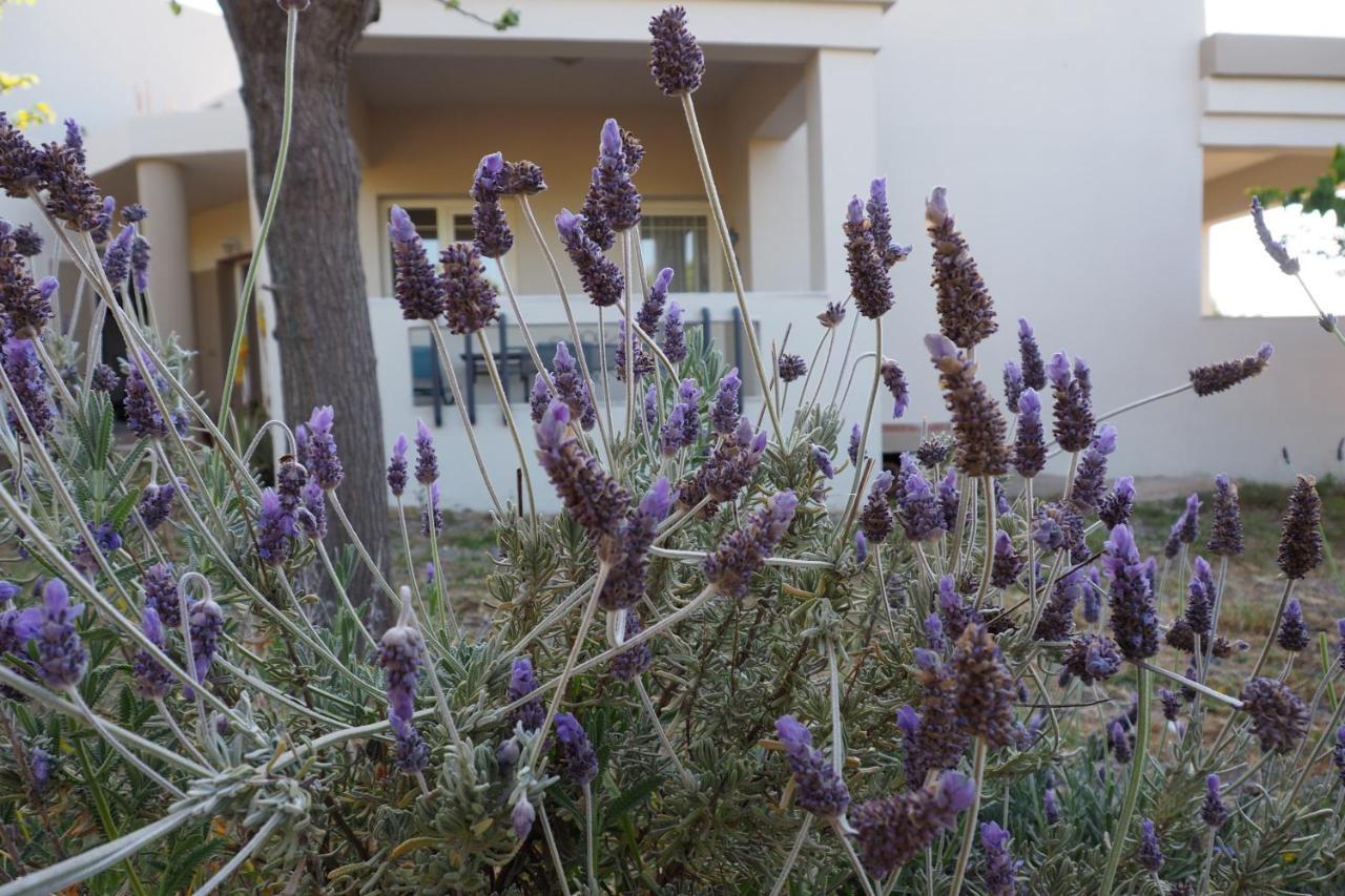 Вилла Olive House Малиа Экстерьер фото